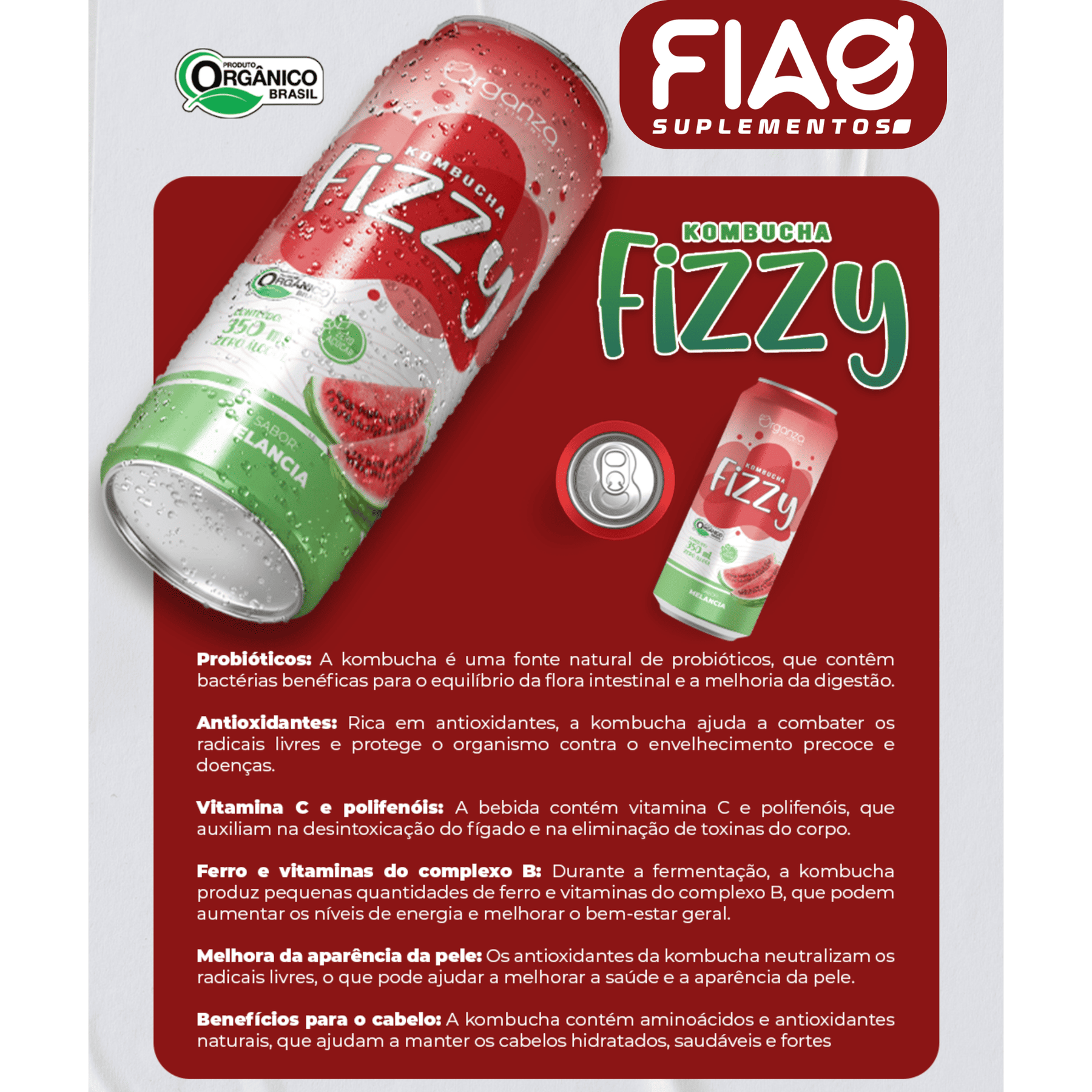 Kombucha Fizzy Melancia – 350ml