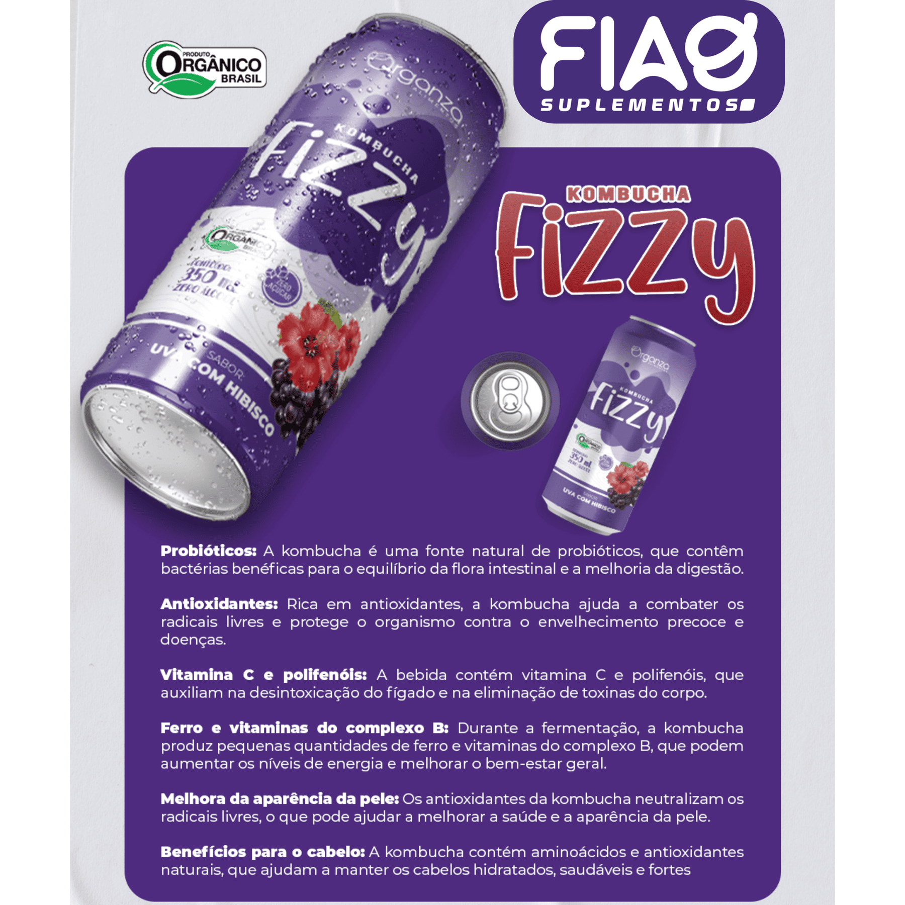 Kombucha Fizzy Uva & Hibisco - 350ml