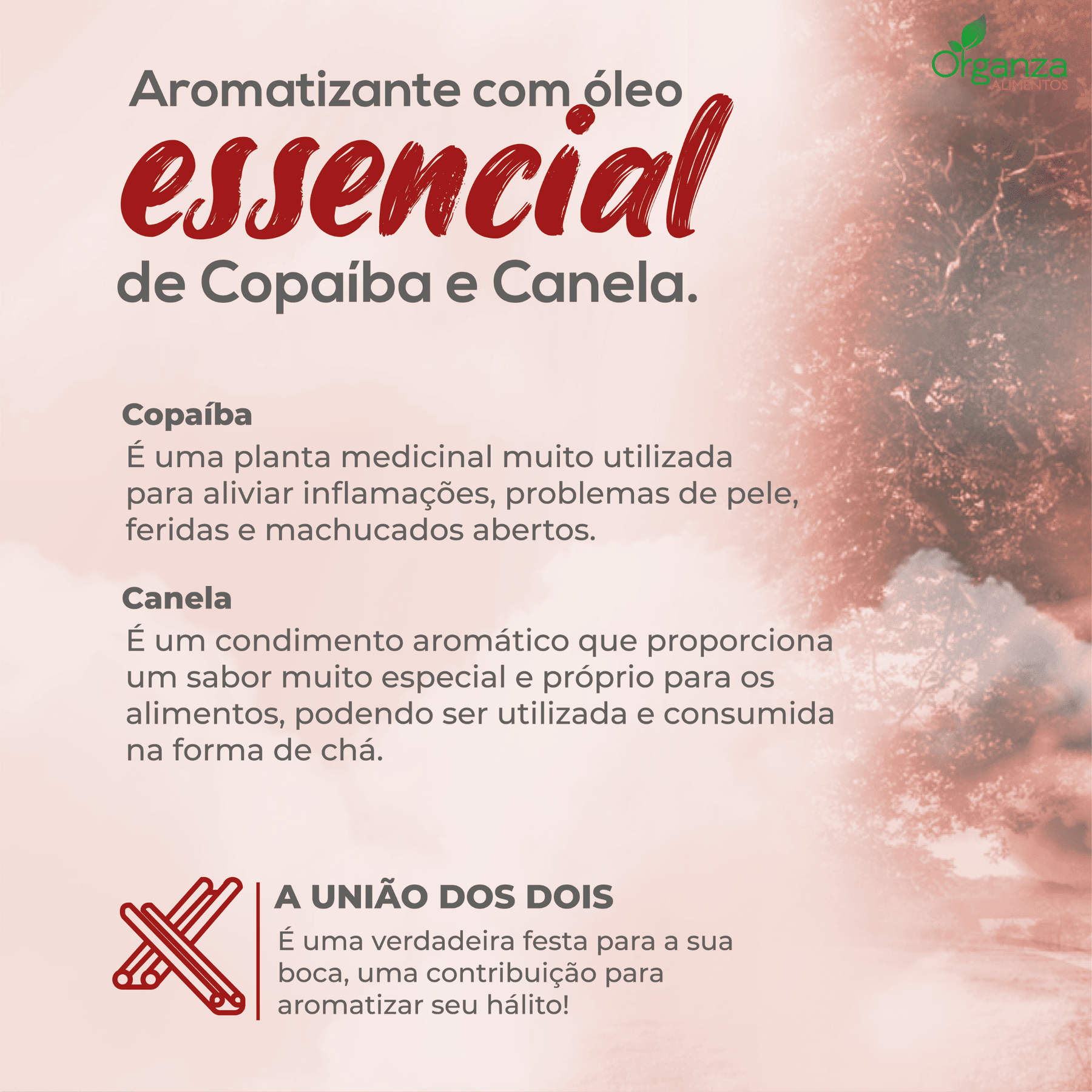 Seiva Nebs - Aromatizante Bucal - 10ml - Bonifica