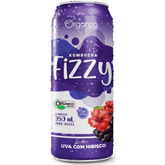 Kombucha Fizzy Uva & Hibisco - 350ml