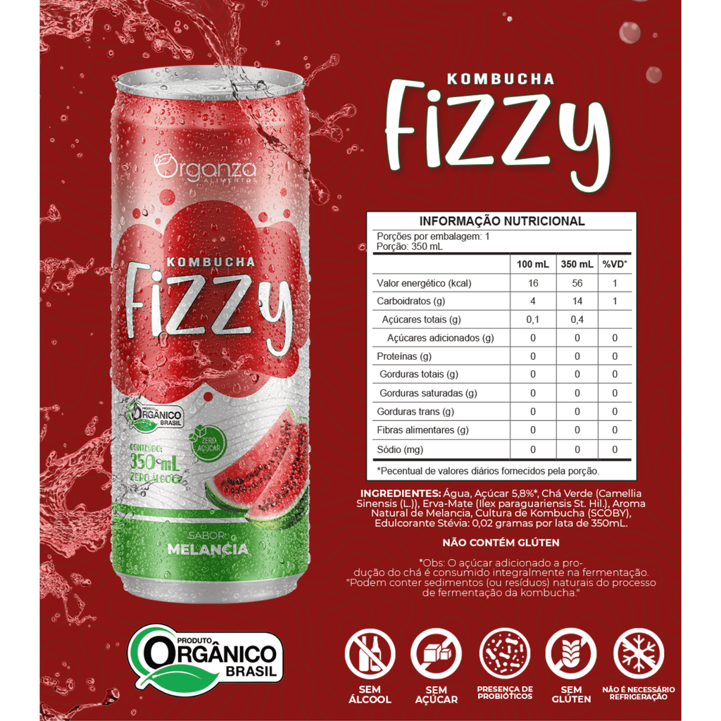 Kombucha Fizzy Melancia 350ml – Bebida Probiótica Natural com Sabor Refrescante