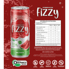 Kombucha Fizzy Melancia 350ml – Bebida Probiótica Natural com Sabor Refrescante