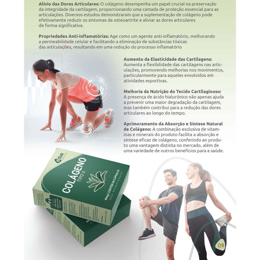 Colágeno Tipo II Ektus 60 Cápsulas – Suporte Articular com Colágeno Não Desnaturado