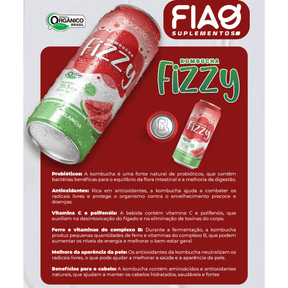 Kombucha Fizzy Melancia – 350ml