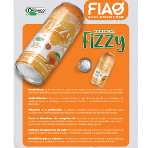 Kombucha Fizzy Laranja & Gengibre –350ml